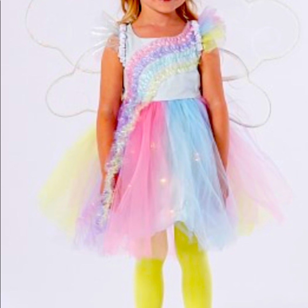 Pottery Barn girls 4T costume